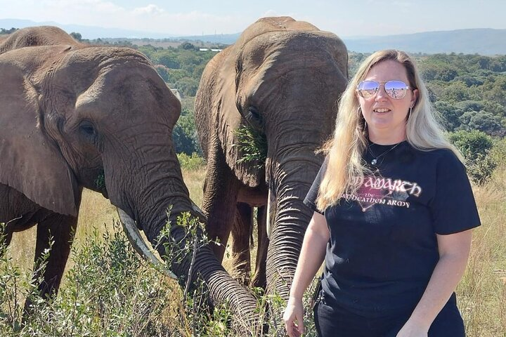 Walk with elephants